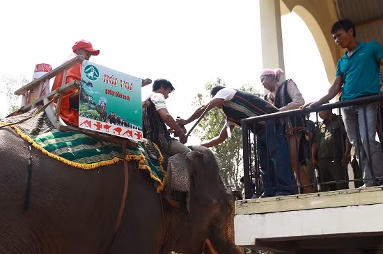 Sau khi làm xong lễ khấn, từng chú voi được các nài voi điều khiển tiến lại gần chủ lễ để chủ lễ đặt đầu heo, gạo, bôi tiết, tưới rượu lên đầu voi để cầu chúc cho voi luôn khỏe mạnh để giúp đỡ gia đình trong mọi công việc.