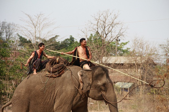 Những người săn bắt oai hùng, mạnh mẽ để thuần dưỡng những chú voi rừng.