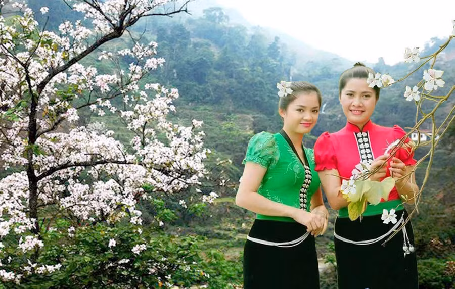 Khoe sắc cùng hoa ban