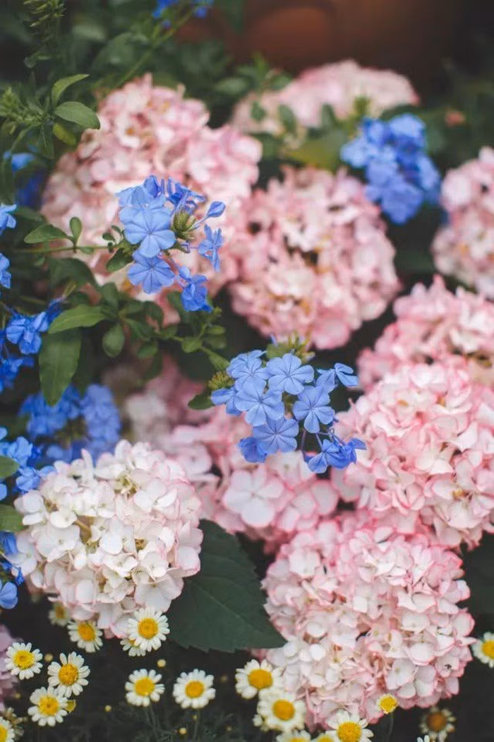 tb2fschn8hh8kjjy0fbxxcqlpxa31164872-0-daren-1547110532648921416603