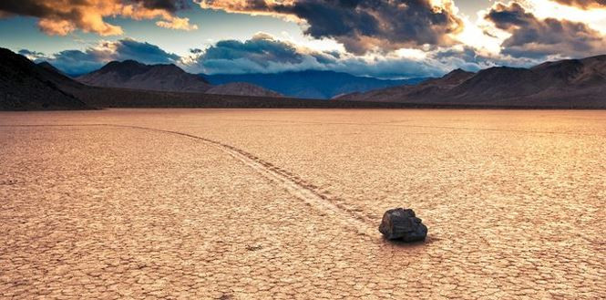 Thung lũng khô cằn cứ 10 năm lại biến thành biển hoa ở Mỹ - ảnh 11