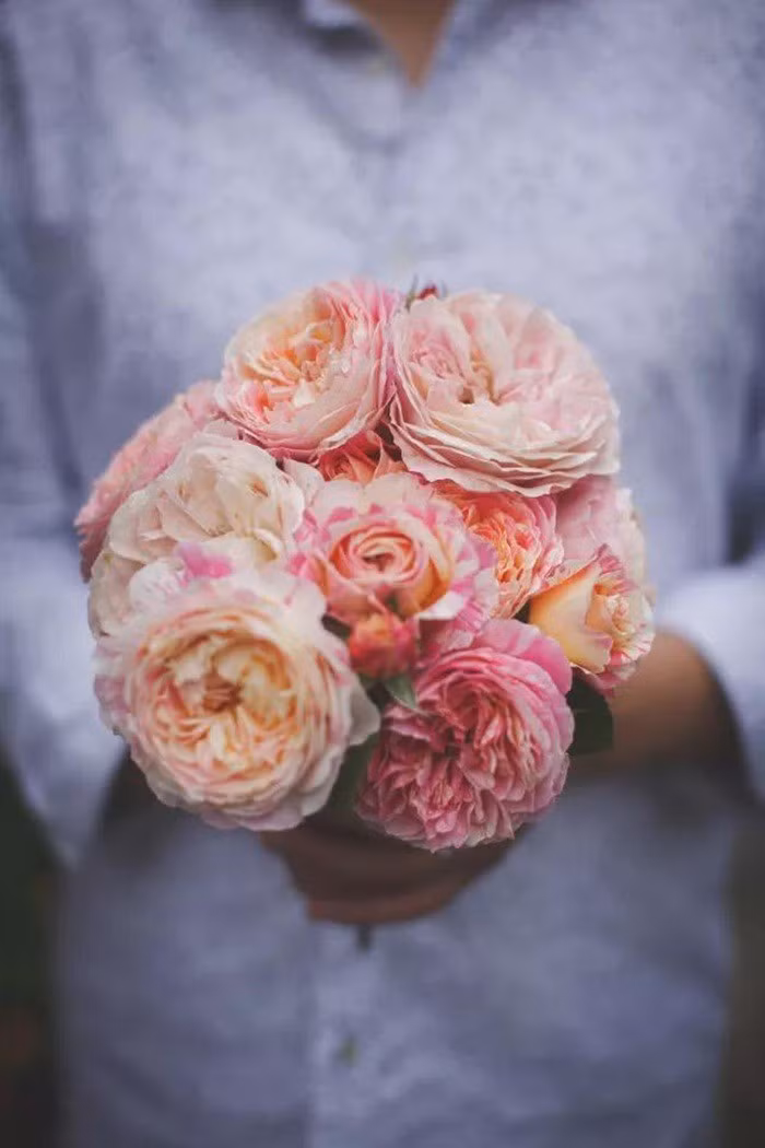 tb2vyade0ho8kjjszftxxchfxxa_!!31164872-0-daren