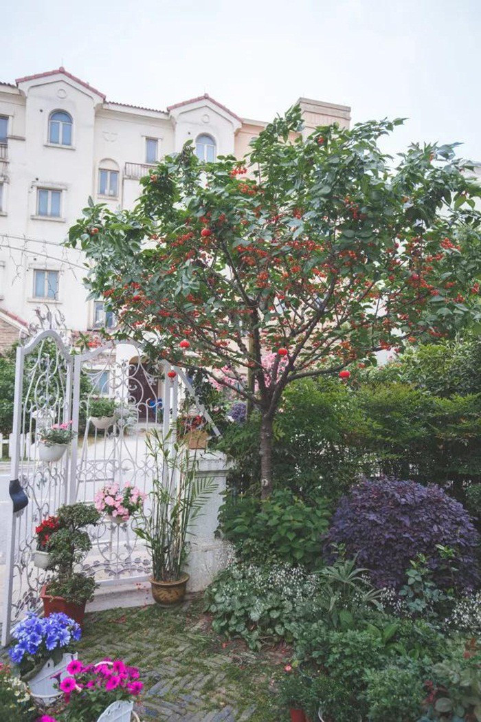 tb2pnehn8hh8kjjy0fbxxcqlpxa31164872-0-daren-15471105326641924010644