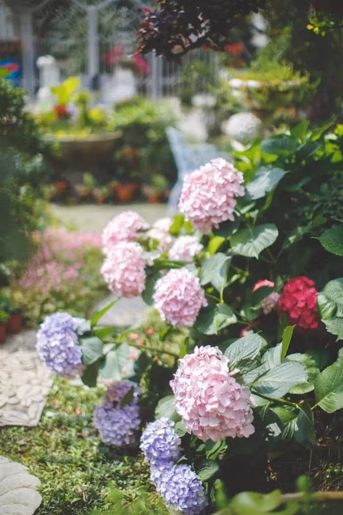 tb2negjnzri8kjjy0fhxxbfnpxa31164872-0-daren-1547110532661298131233