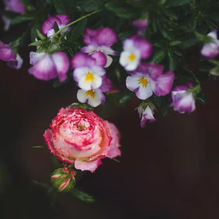 tb2stlhn22h8kjjy1zkxxxr7pxa31164872-0-daren-15471105326721223998279