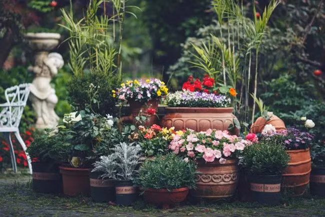 Khu vườn 300m² với hàng trăm loài hoa đua nhau khoe sắc của cô gái 9x xinh xắn - Ảnh 3.