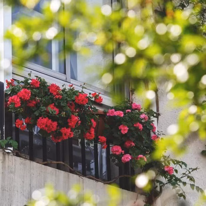 tb2ooen8dh8kjjsspnxxbnavxa31164872-0-daren-1547110532663183194474