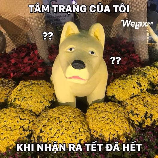 cuoi bo voi loat anh che hai huoc tong ket tet canh ty 2020 - 13