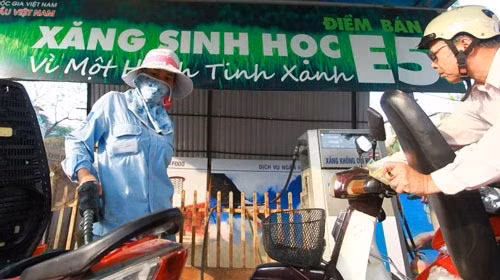 Lên lộ trình cụ thể cho việc thay thế hoàn toàn xăng RON92 bằng xăng E5