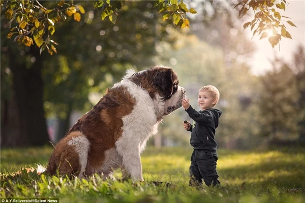 Thích thú với tình bạn của những đứa bé nhỏ bên những chú chó to 