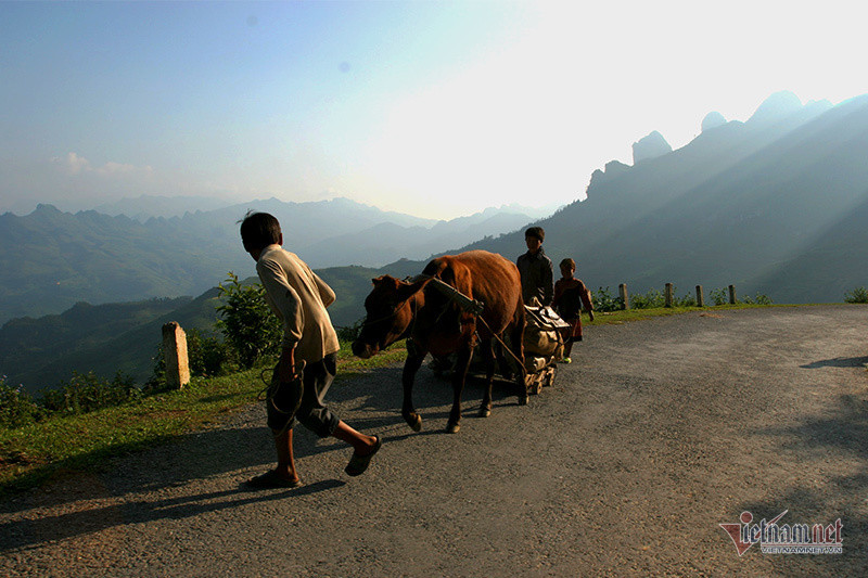 Cảnh sắc đẹp nhất thế giới mỗi năm 1 lần chỉ có ở Việt Nam