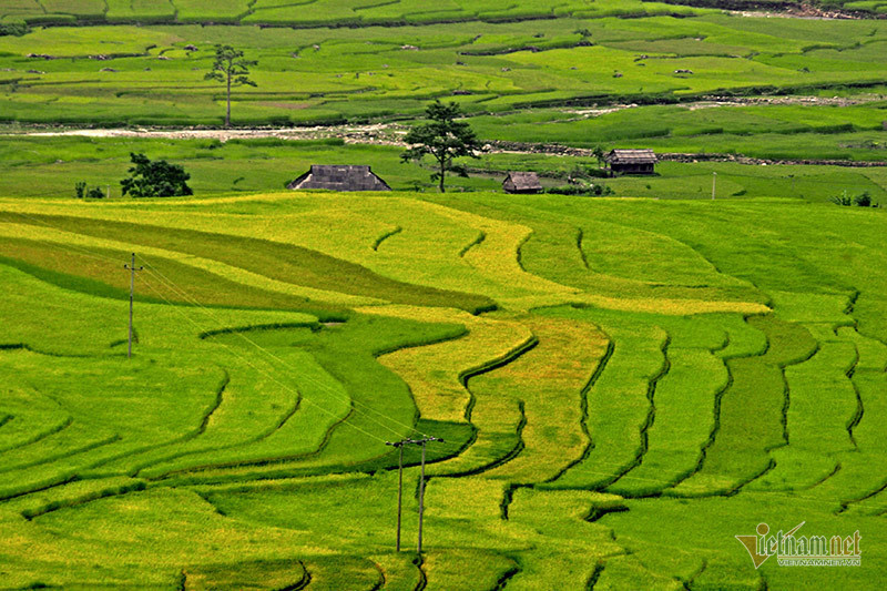 Cảnh sắc đẹp nhất thế giới mỗi năm 1 lần chỉ có ở Việt Nam