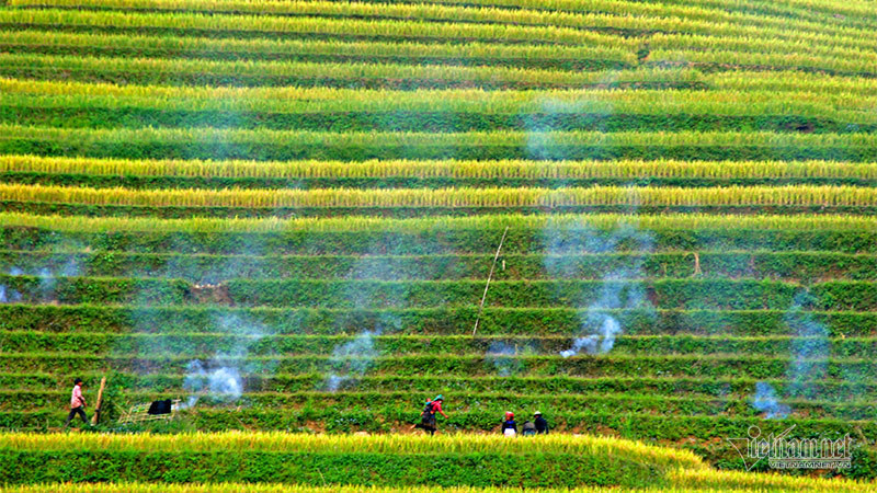 Cảnh sắc đẹp nhất thế giới mỗi năm 1 lần chỉ có ở Việt Nam