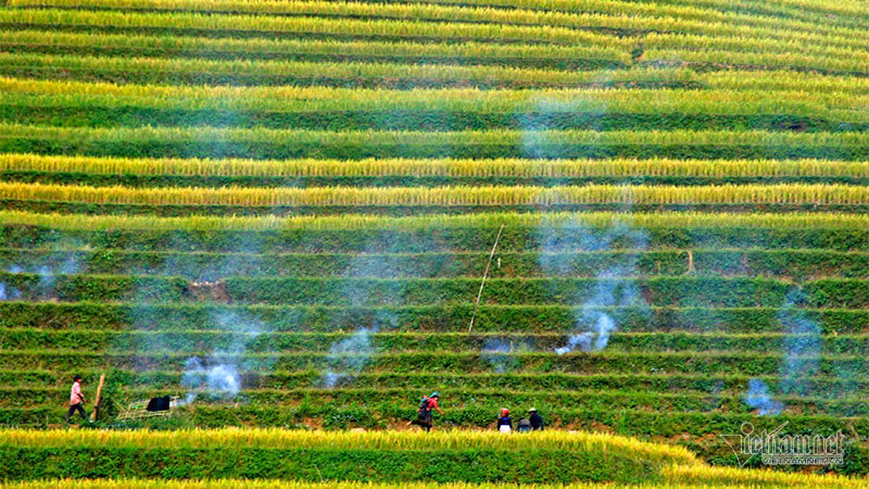 Cảnh sắc đẹp nhất thế giới mỗi năm 1 lần chỉ có ở Việt Nam