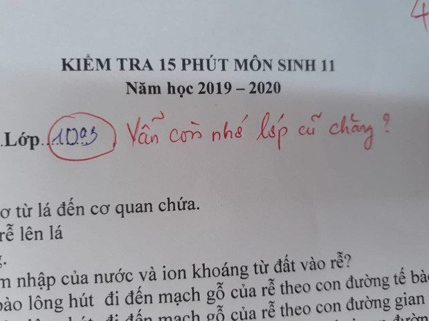 Ảnh: Trọng Nghĩa/Trường Người Ta.