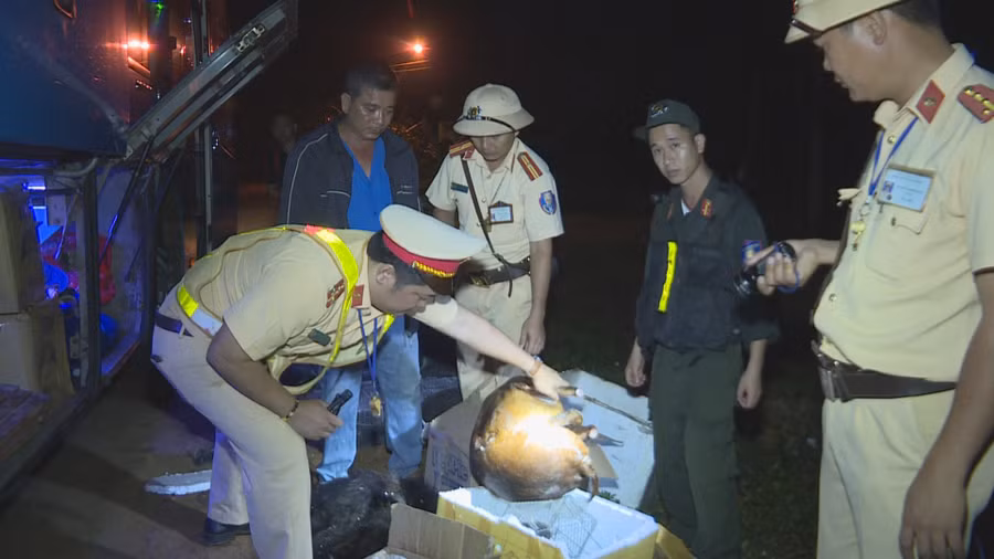 Cơ quan chức năng phát hiện xe khách chở hàng chục cá thể động vật rừng không rõ nguồn gốc. 