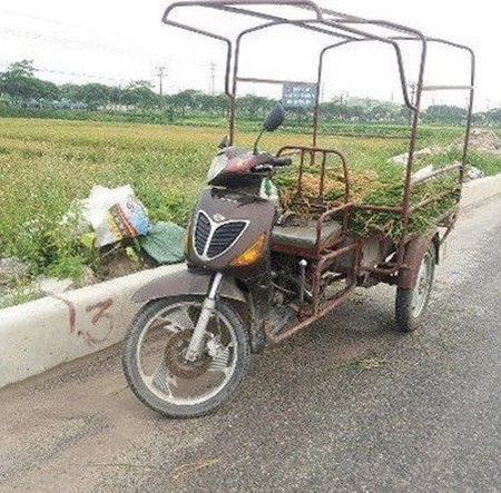 Xe tay ga SH không chỉ dành cho giới thượng lưu.