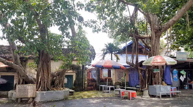 Nhà giáo 86 tuổi tiết lộ 2 nguyên tắc vàng dạy con thành tiến sĩ - Ảnh 2.