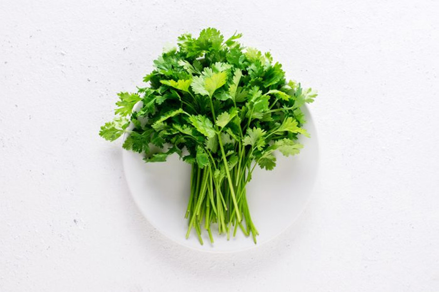 Rắc rau mùi vào cơm để tạo hương thơm tươi mát. (Ảnh: ITN).