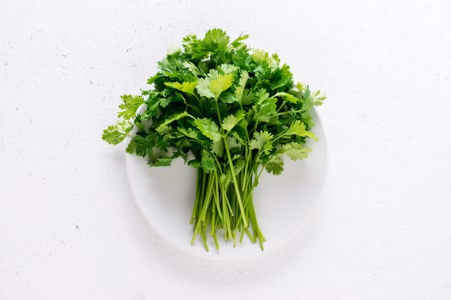 Rắc rau mùi vào cơm để tạo hương thơm tươi mát. (Ảnh: ITN).