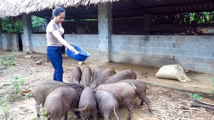 Phú Lương triển khai đồng bộ nhiều giải pháp nhằm giảm nghèo bền vững.