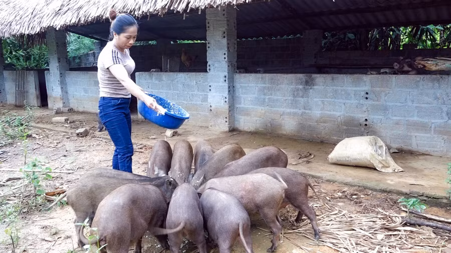 Phú Lương triển khai đồng bộ nhiều giải pháp nhằm giảm nghèo bền vững.
