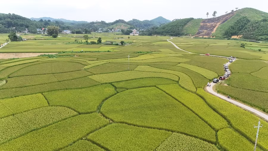 Diện mạo nông thôn mới ở Phú Lương có nhiều khởi sắc.