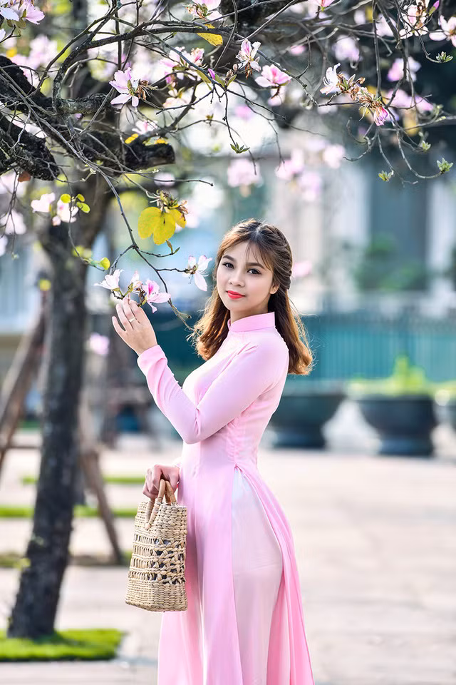 Nữ sinh 9X bên sắc tím hoa ban giữa lòng Thủ đô ảnh 10