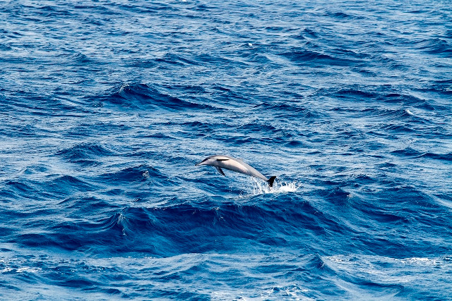 Cuộc sống ở Trường Sa qua triển lãm ảnh của tuổi trẻ ảnh 2