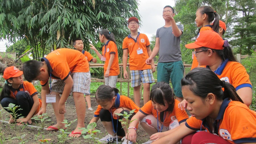 Trải nghiệm hè với Học kỳ sinh tồn