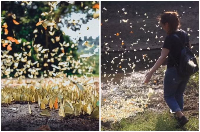 Ba điểm du lịch lý tưởng ở miền Bắc trong tháng 5 - 2