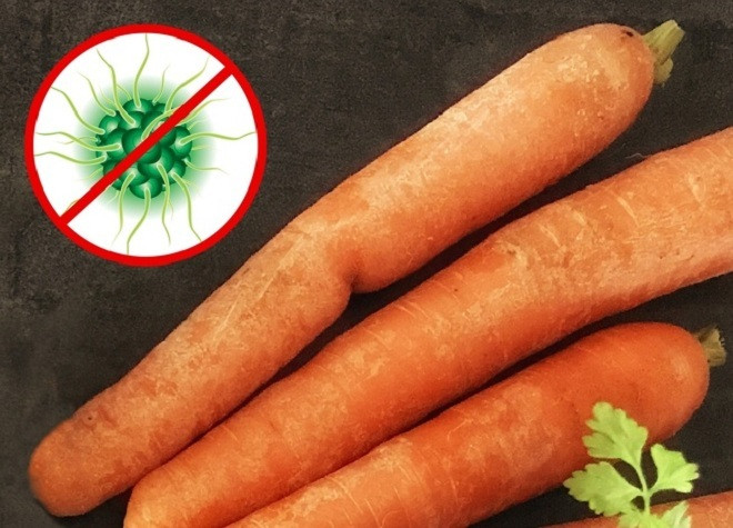 11 món ăn bổ dưỡng cơ thể