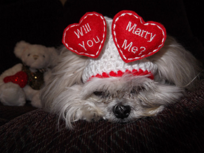 Mách chàng các cách cầu hôn khiến nàng không thể chối từ - 1