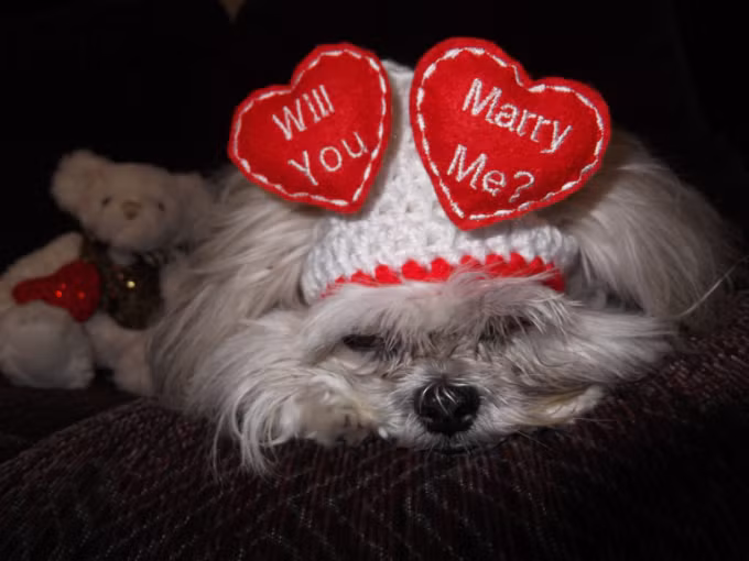 Mách chàng các cách cầu hôn khiến nàng không thể chối từ - 1