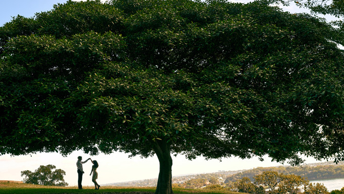 Andrew đến từ một tiểu bang ở Mỹ - nơi Ngọc từng theo học. Trong mỗi câu chuyện, khi người này nhắc đến nơi nào, điều gì thì người còn lại đều biết rõ. Ngọc cảm nhận được sự hòa hợp, thấu hiểu và tin Andrew chính là destiny (Vận mệnh) của cuộc đời cô. Dù vậy, cô vẫn chưa đủ tự tin để chính thức bước vào cuộc tình này.