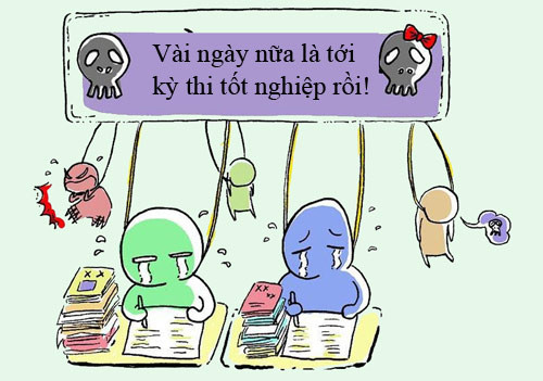 ảnh ôn thi của sĩ tử ảnh ôn thi của sĩ tử