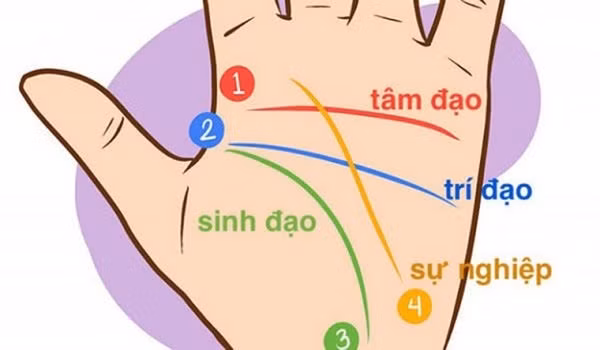 Xem chỉ tay hiếm gặp, không sớm thì muộn cũng phát tài-1