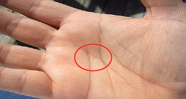 Xem chỉ tay hiếm gặp, không sớm thì muộn cũng phát tài-2