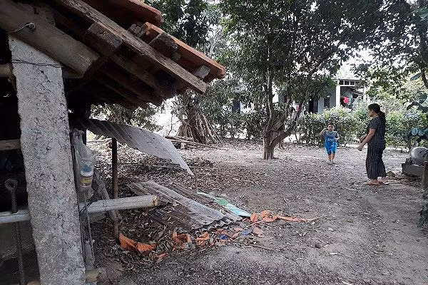 Kẻ gian giết hại bò mẹ mang thai, xẻ thịt hai đùi sau - ảnh 3