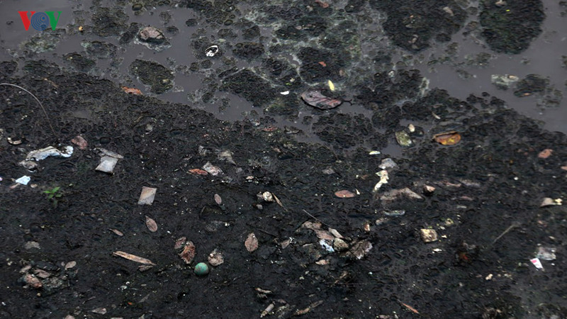 nuoc song to lich thay doi ra sao sau khi su dung "bao boi" nhat ban? hinh 6