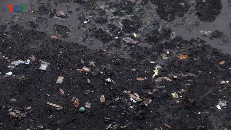 nuoc song to lich thay doi ra sao sau khi su dung "bao boi" nhat ban? hinh 6