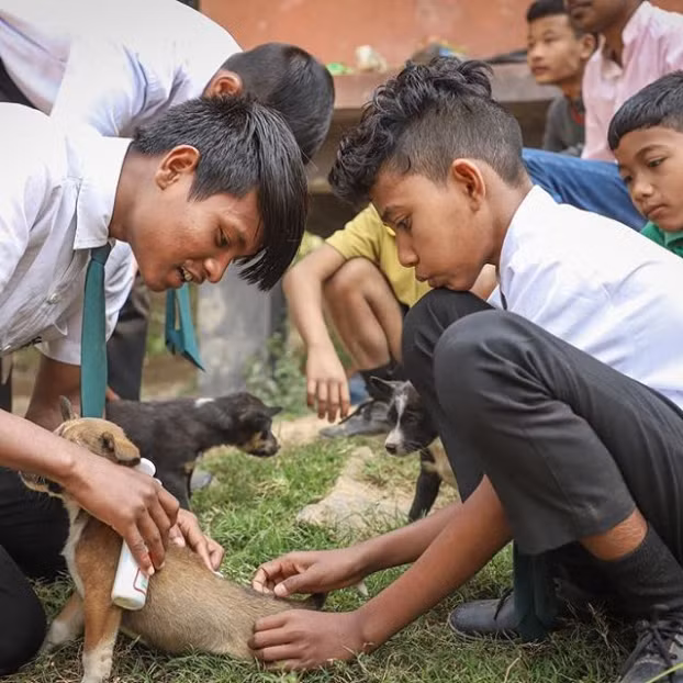 Trường Ấn Độ nhận rác thải nhựa thay học phí, cả ngôi làng 