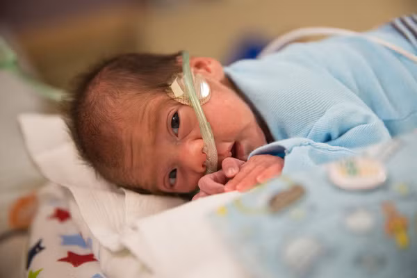 Ly kỳ câu chuyện của những em bé chào đời từ cơ thể người mẹ đã chết vài tháng