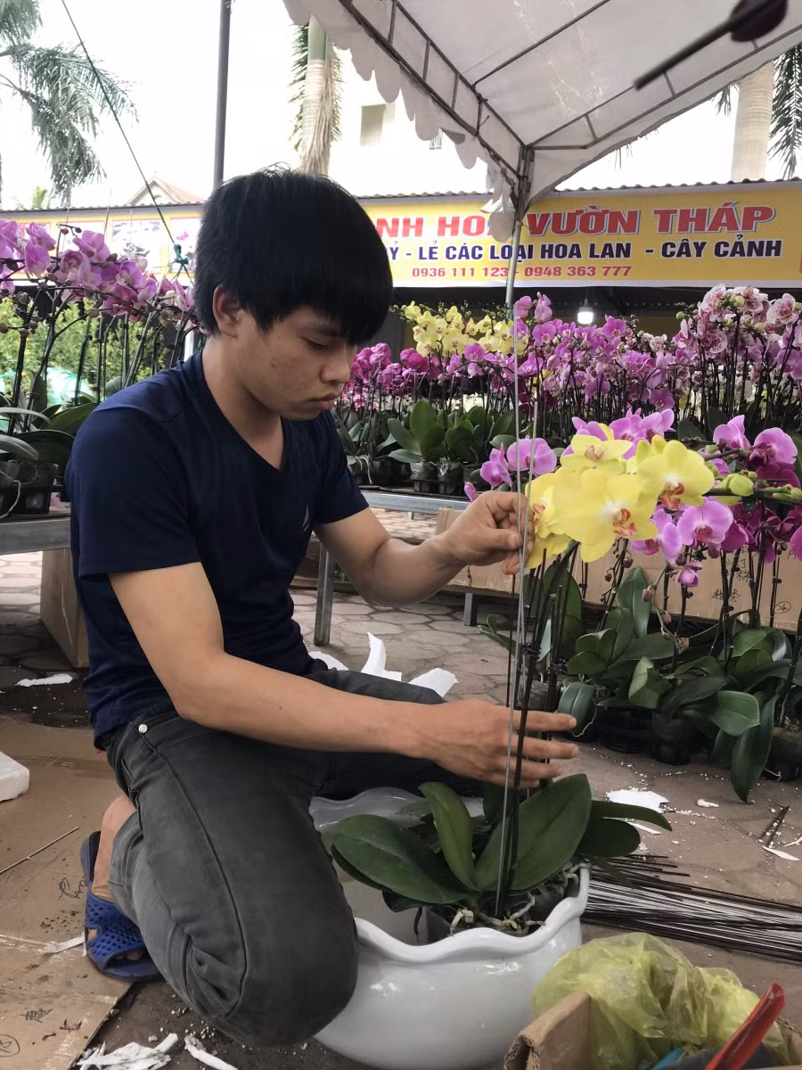 Những thợ cắm hoa miệt mài phục vụ thị trường hoa lan ngày Tết.