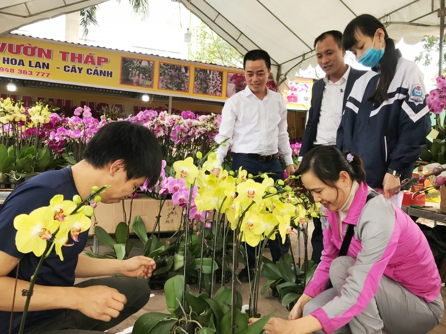 Năm nay, giá lan được khách hàng đánh giá đắt hơn năm ngoái nhưng nhiều người vẫn chọn mua lan về chơi Tết.