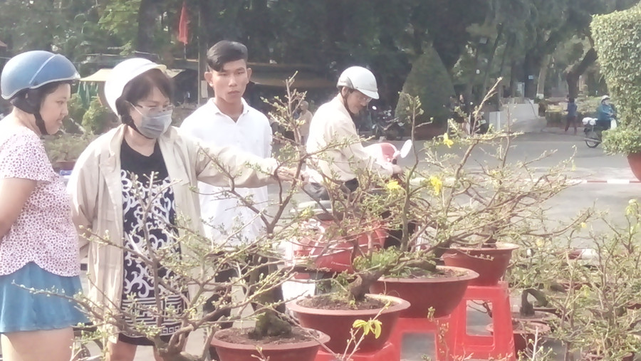 Người dân xem, mua mai tại công viên Lê Thị Riêng