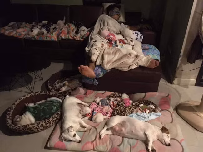 Anh chồng kêu khổ vì vợ cứ nằng nặc đòi nuôi 2 con chó, 3 năm sau kết cục xảy đến với anh khiến ai nấy câm nín - Ảnh 5.