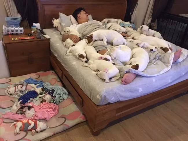 Lấy người vợ thích nuôi chó, 3 năm sau chồng nhận được kết cục khiến ai nấy câm nín