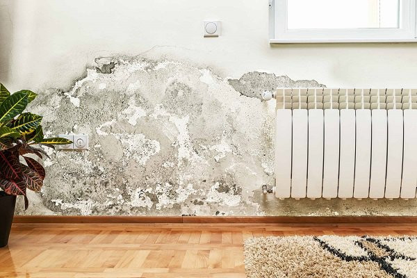 Bí quyết để nhà cửa luôn khô ráo trong thời tiết nồm ẩm ảnh 2 bi quyet de nha cua luon kho rao trong thoi tiet nom am, me nao cung muon biet - 4
