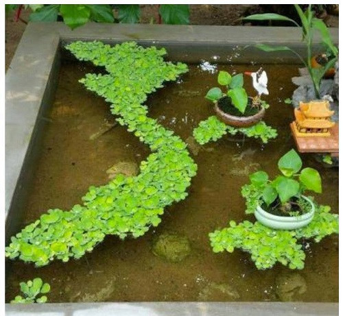 Thiết kế trên cả tuyệt vời.